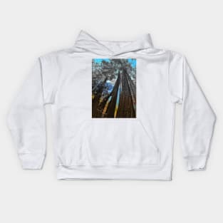 Big Sur Kids Hoodie